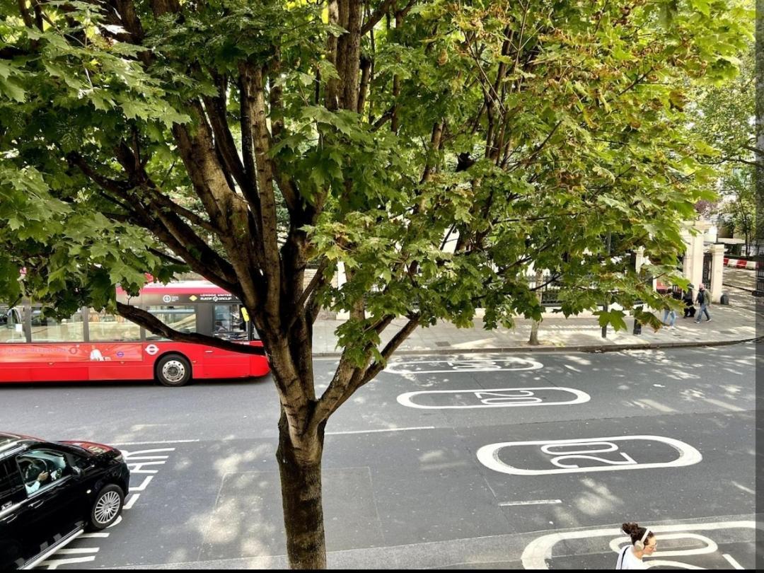 Cozy Twin Next To Hyde Park Alloggio in famiglia Londra
